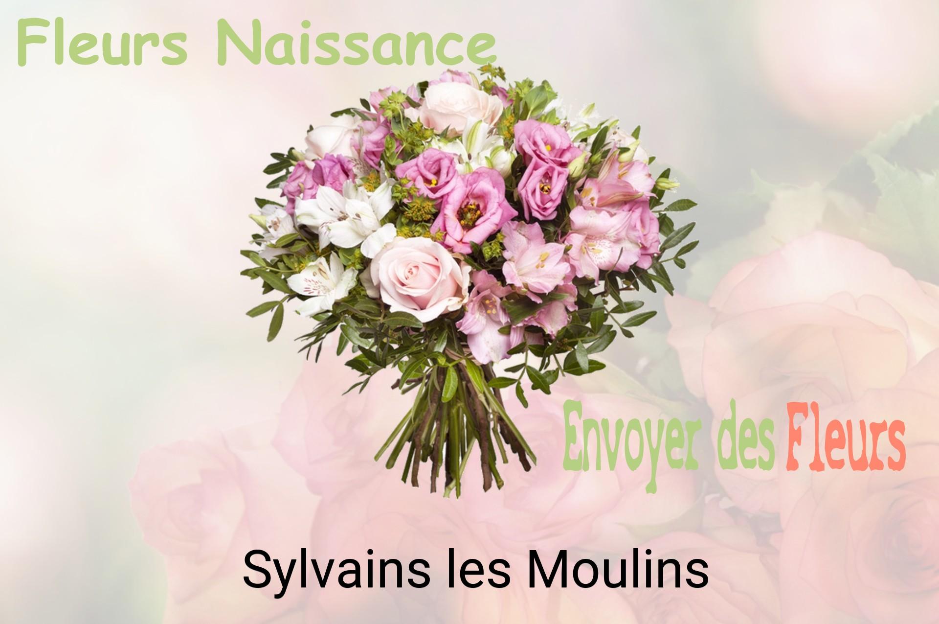 Bouquet de fleurs de naissance livré à Sylvains-les-Moulins